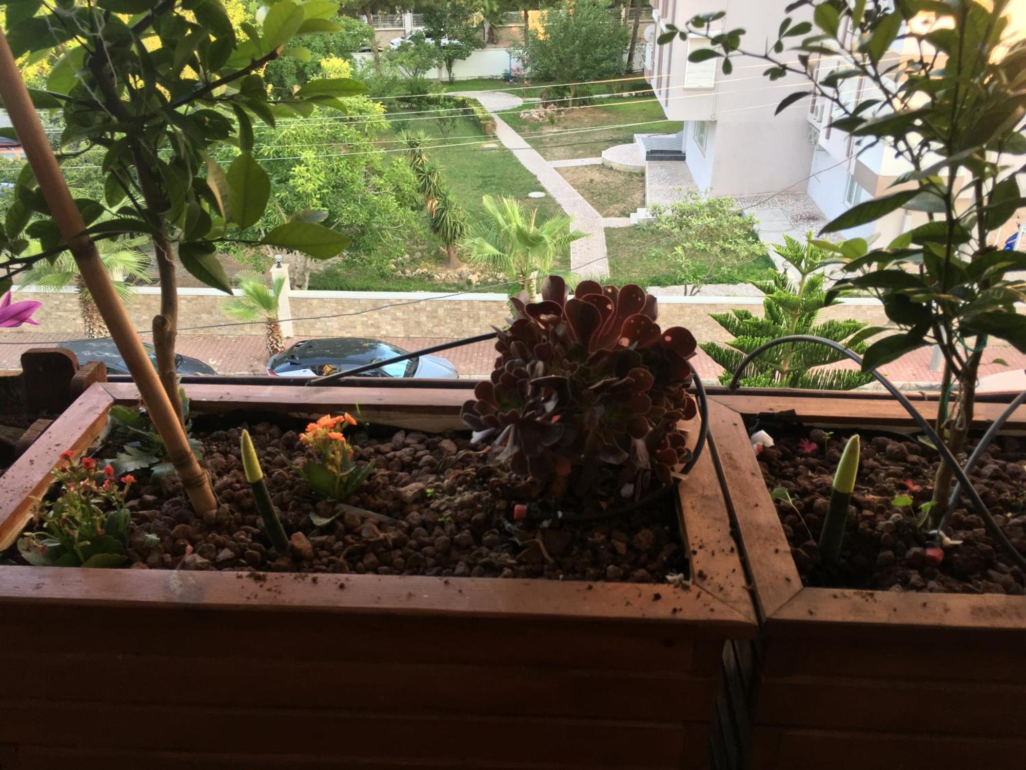 안탈리아 Orange Garden 아파트 외부 사진